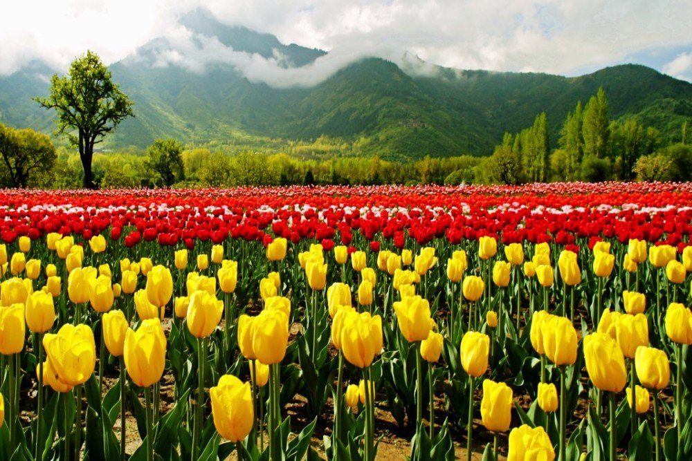 Fissure in Sandstone